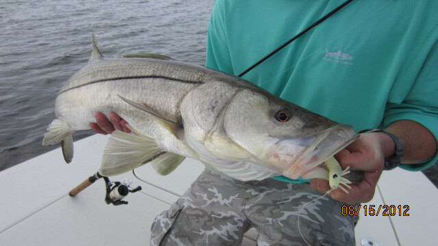 Fishing Florida using DOA Lures - Flats Fish'r Charters